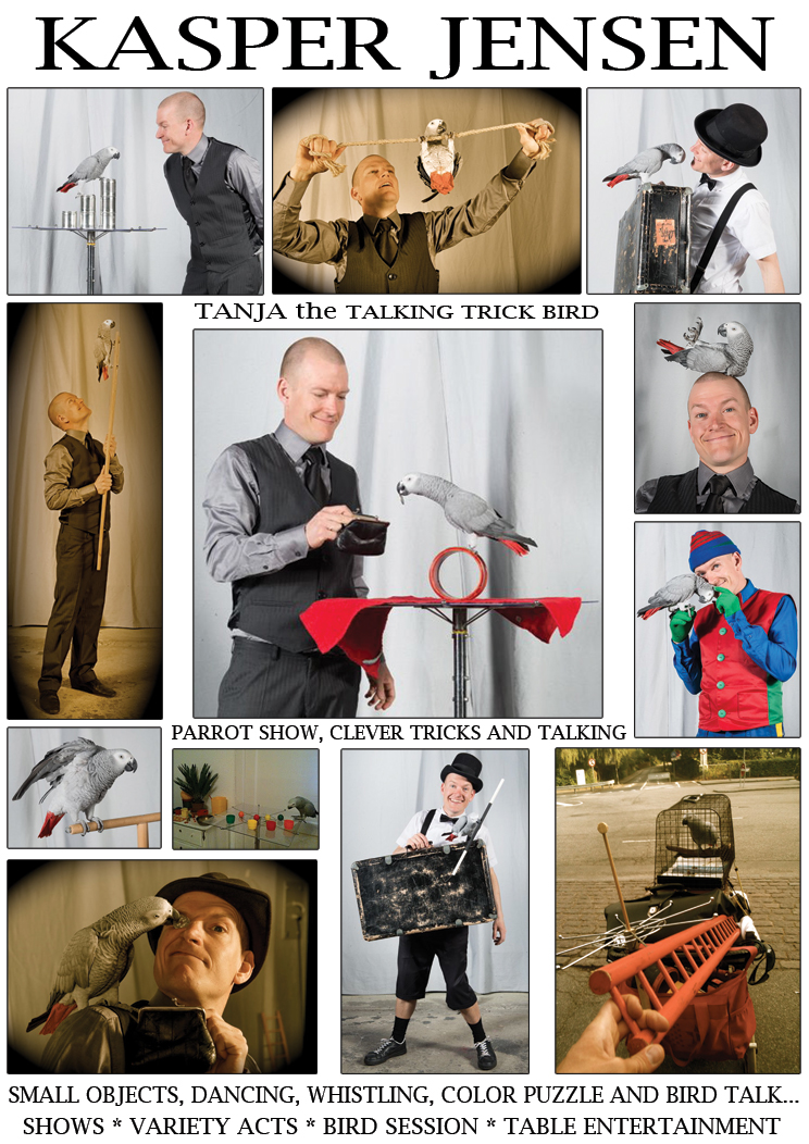 papeg�jeshow, cirkus, talende papeg�je, video, papeg�je, film, jako, show, g�gl, artist, dyr, cirkusnummer, pantomime, klovn, nycirkus, animation, illusioner, Tanja, Kasper Jensen, teknik, optr�den, dans, mime, street show